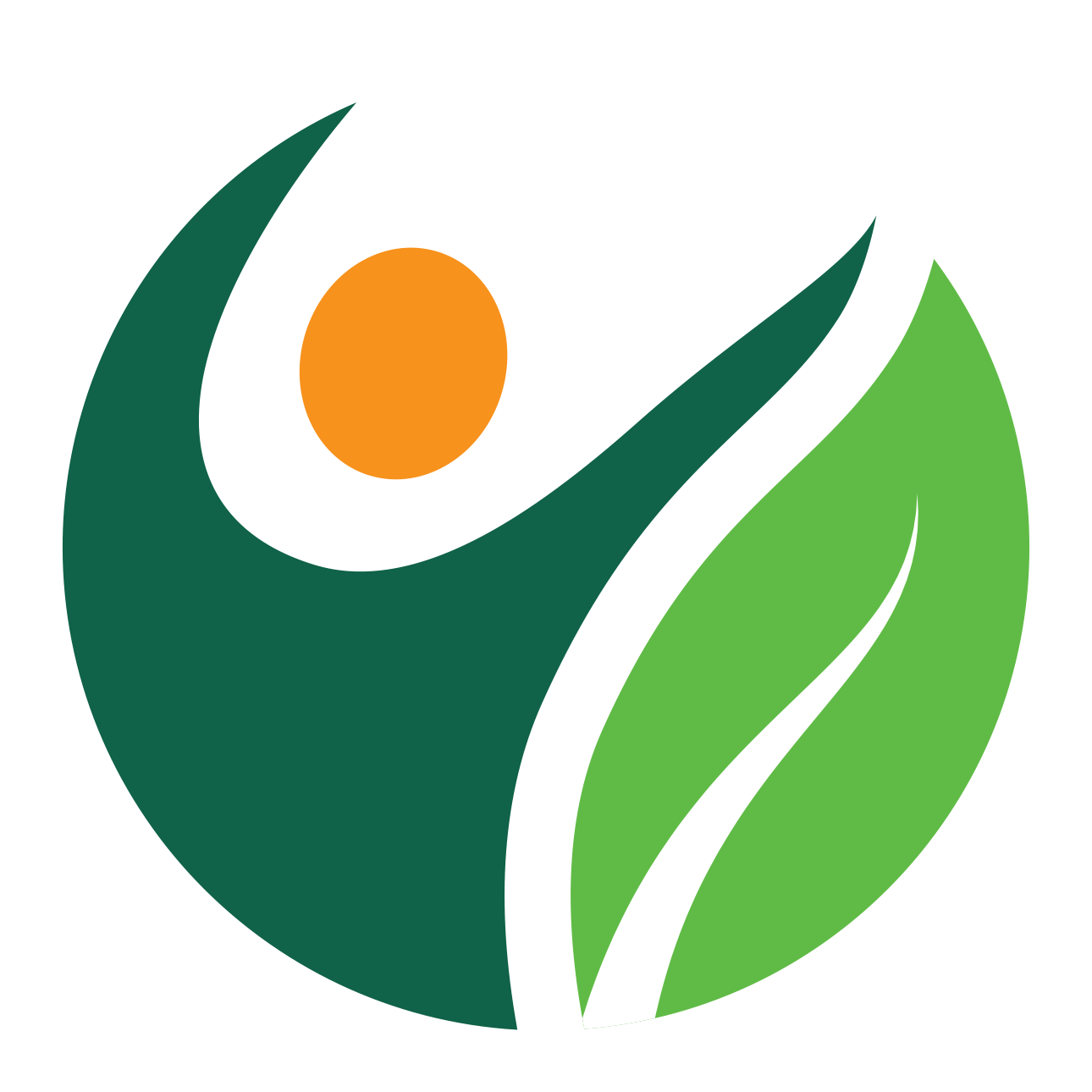 WCAHS Logo