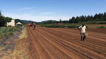 Field with farmworker.