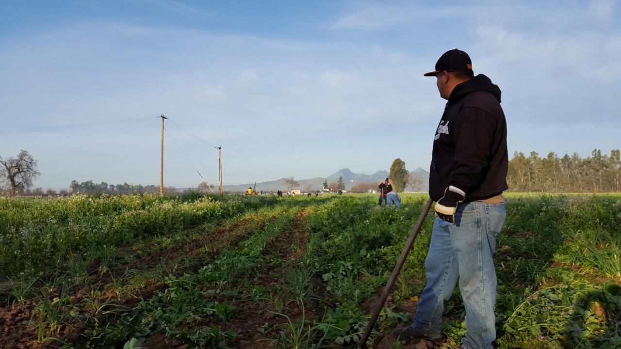 AgrAbility client in the field.