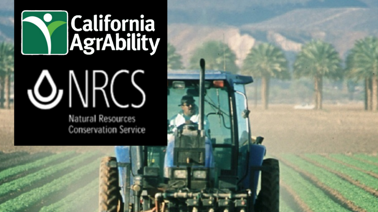 Disability October Event