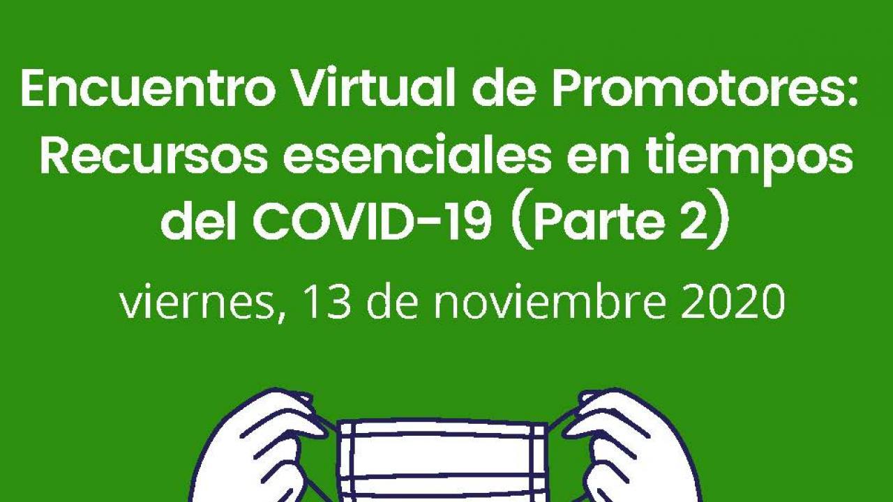 Virtual Reunion for Promotores