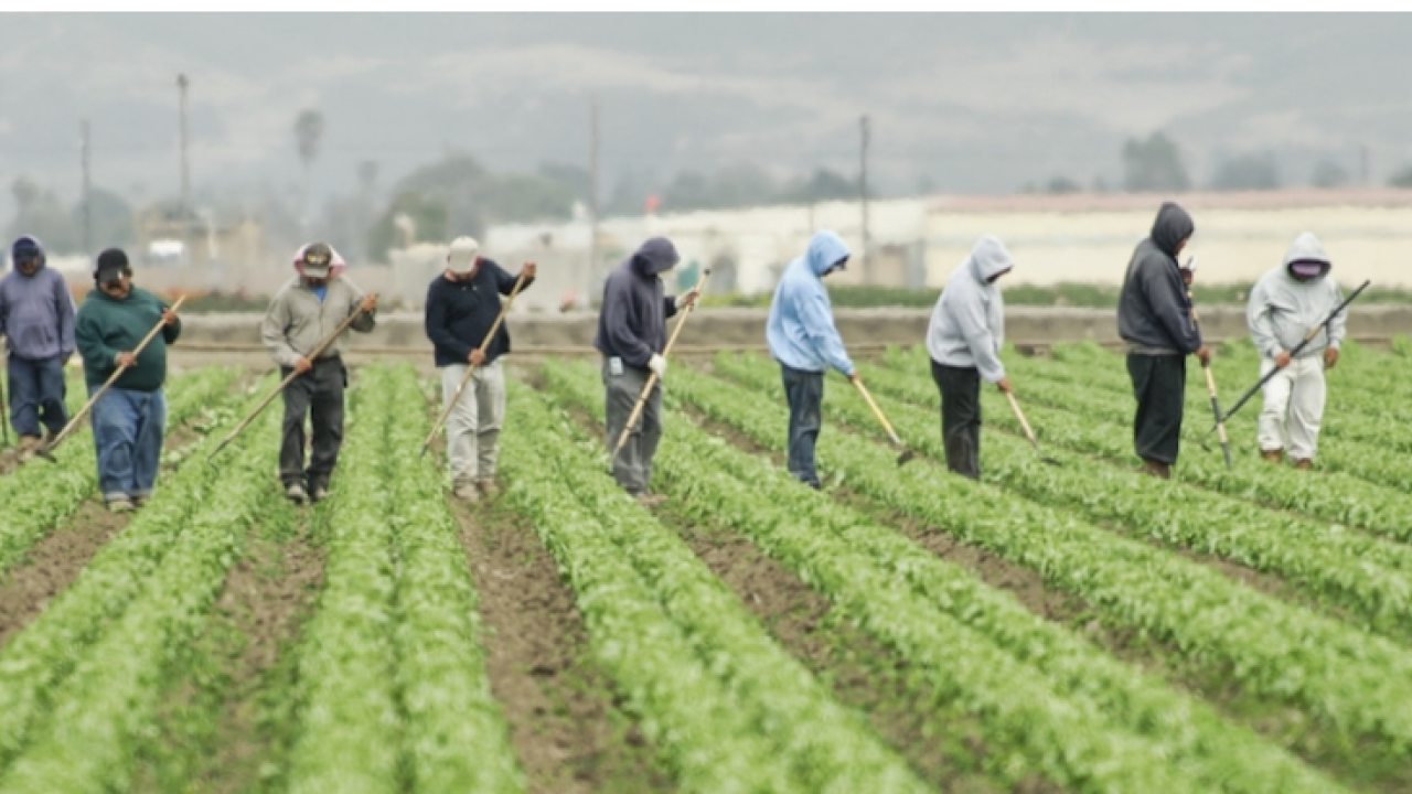 RISE Farm Worker Event