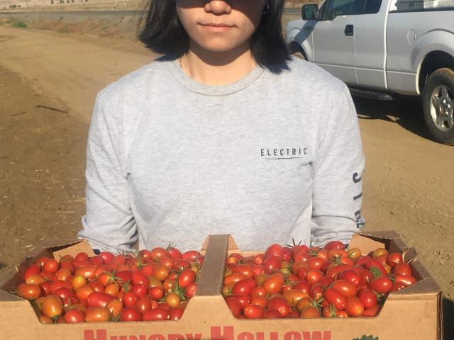 Box of cherry tomatoes
