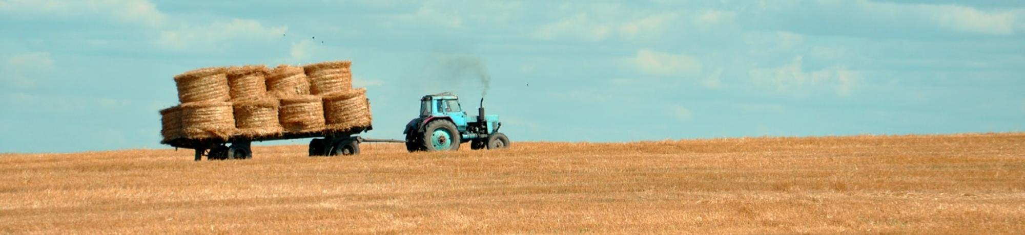 Tractor on field pulling hay